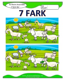 İki Resim Arasındaki Farkı Bul Etkinliği
